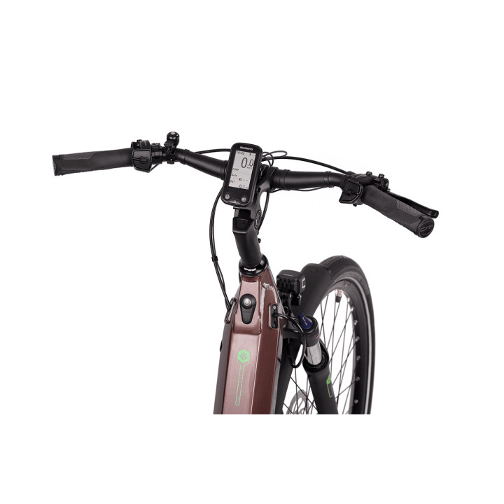 Bicicleta Electrică CREON E-Touring 11.7 Wave