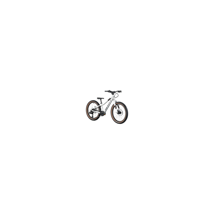 Bicicleta Scott Scale 200 Alloy Silver