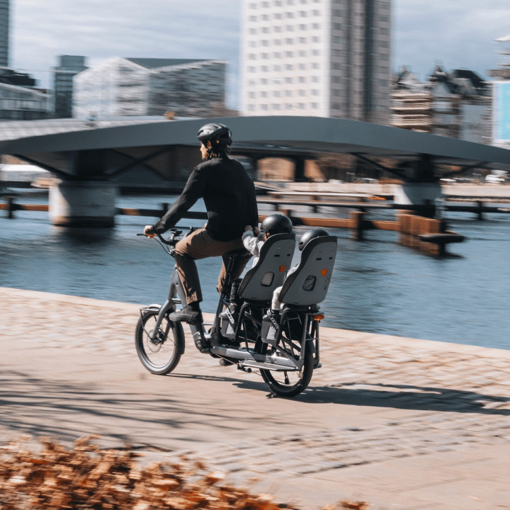 Scaun bicicleta copii THULE Yepp Nexxt 2 Maxi cu montare in spate - Burnished Yellow