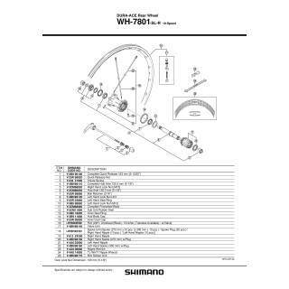 Con Shimano WH-7801-SL-R Contrapiulita Stanga