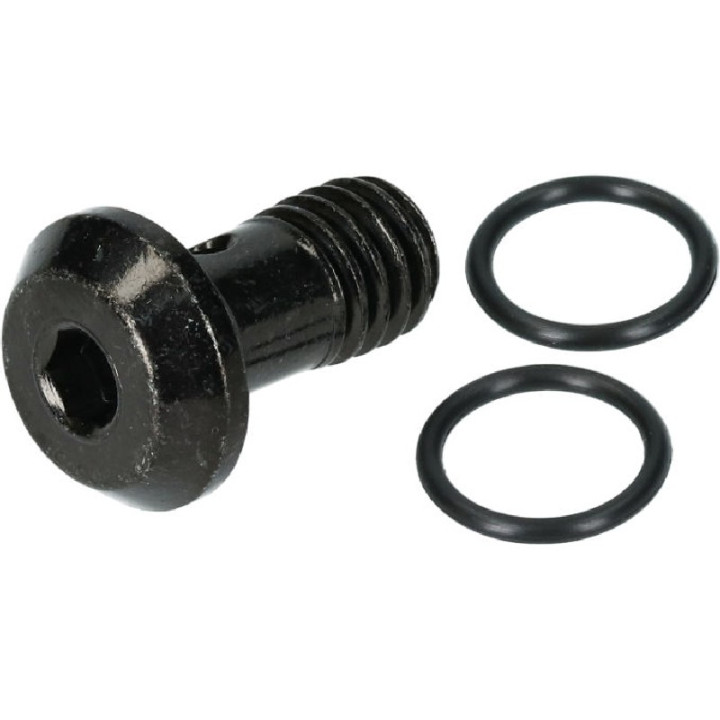 Șurub Shimano Banjo &amp; Garnitură BR-M8100