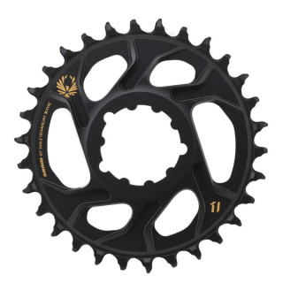 Foaie Angrenaj SRAM X-Sync 2 Eagle GX 34T