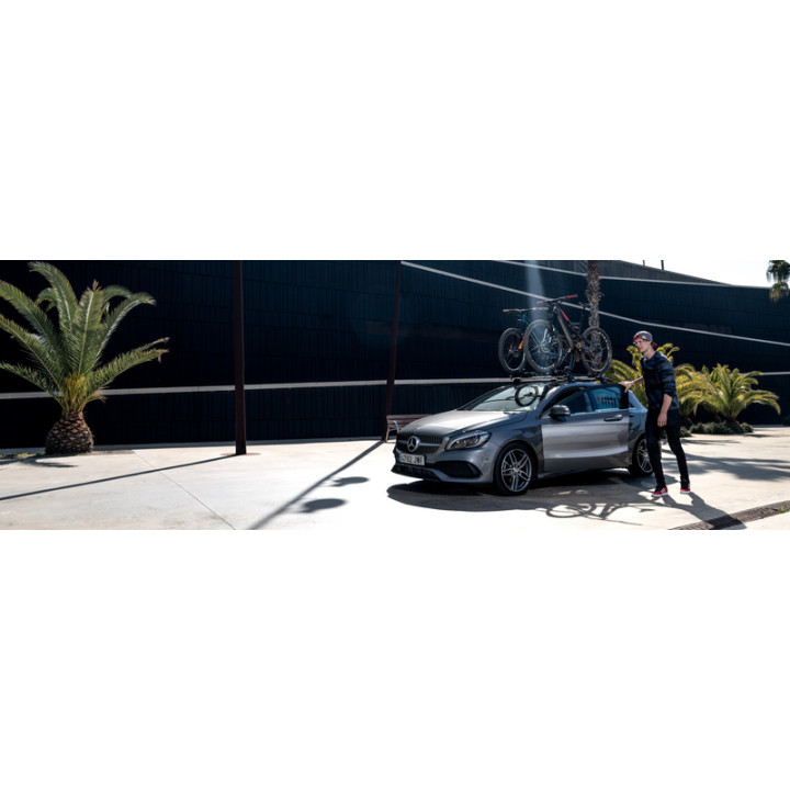 Suport biciclete Thule ProRide 598 - Silver