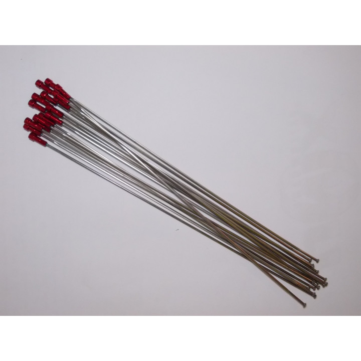 Spițe și nipluri Shimano WH-RS10-S - 16 buc