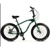 Fat Bike