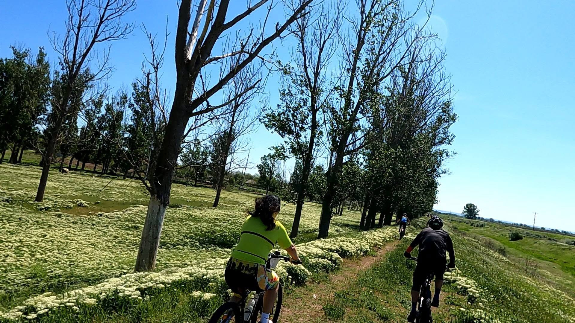 Gal Bike Fest Traseu Rogojeni